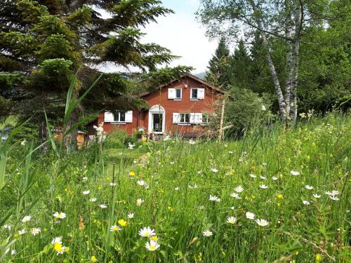 Wildhaus House | Chalet Chic mit Hot Pot