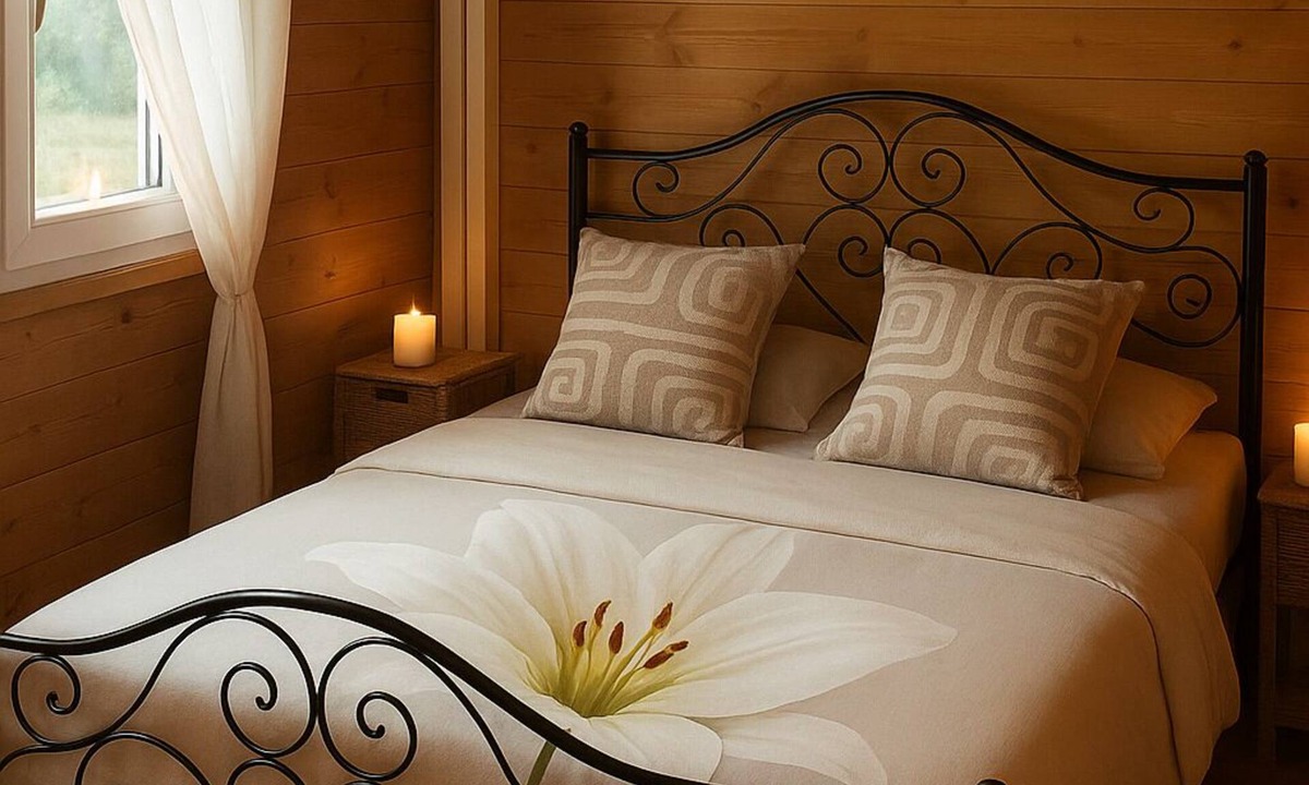 Villefranche-sur-Cher Ski Chalet | Chalet Cosy Edenna