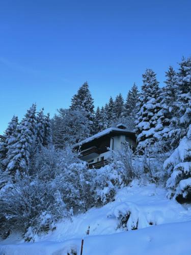 Klosters Platz Ski Chalet | Chalet Dagmar