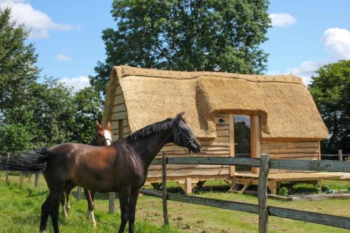 Saint-Germain-d'Aunay Resort | Chalet David Hockney