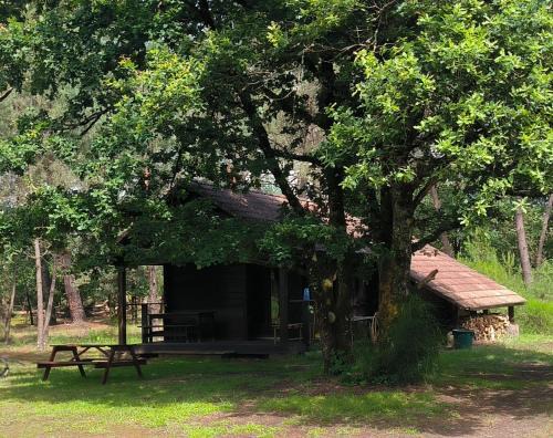 Vignoux-sur-Barangeon Ski Chalet | Chalet de l 'étang