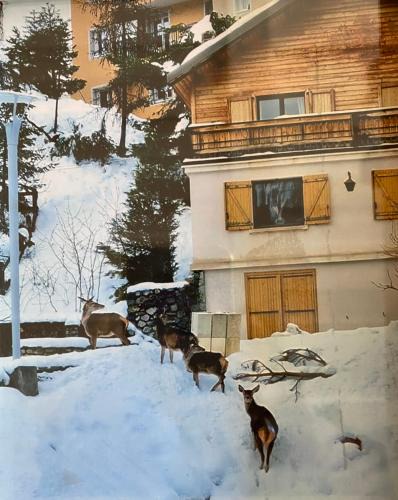 Saint-Etienne-de-Tinee Ski Chalet | CHALET FAMILIAL AURON