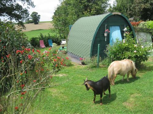 Lolif Ski Chalet | Chalet fleuri