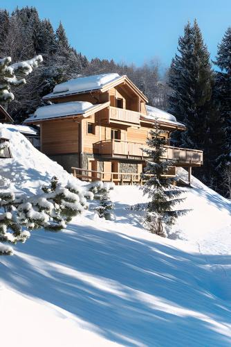 Manigod Ski Chalet | Chalet Fnire