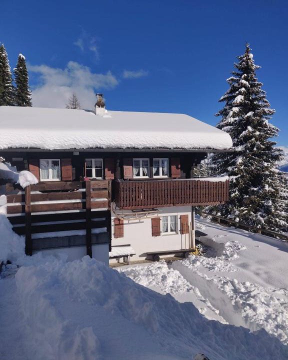 Riederalp Apartment | Chalet Grazia