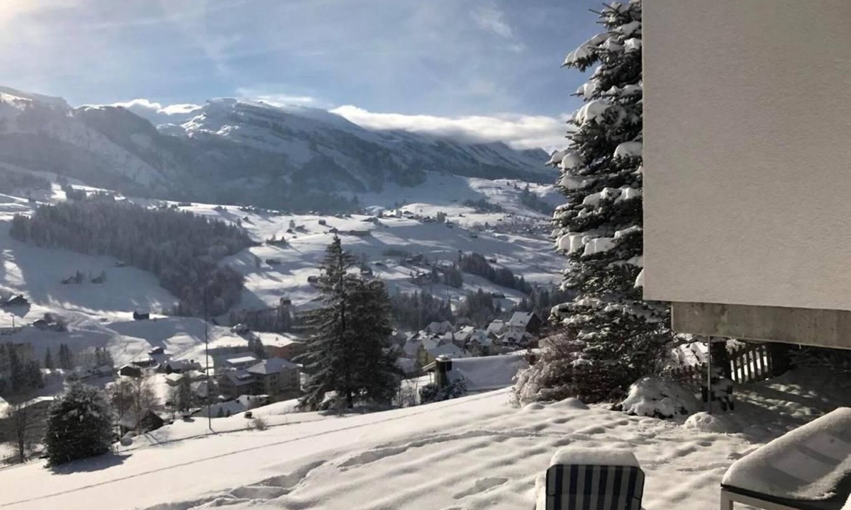 Wildhaus Ski Chalet | Chalet "Höckli" with mountain view