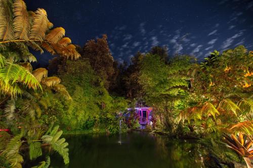 Volcano Cabin | Chalet Kilauea