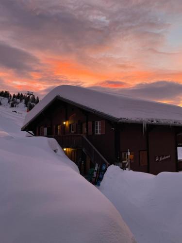 Bettmeralp Apartment | Chalet La Montanara
