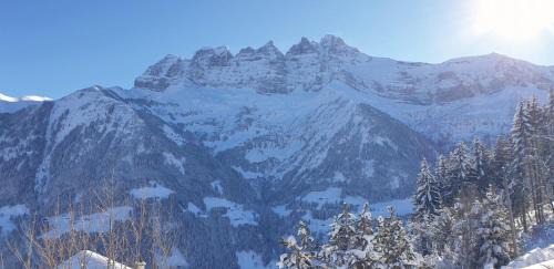 Val d'Illiez Ski Chalet | Chalet le Grenier des Crosets, Vue exceptionnelle sur les Dents du Midi