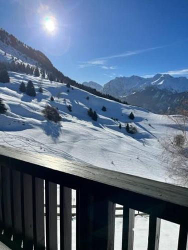 Villard-Reculas Ski Chalet | Chalet Le lagopède