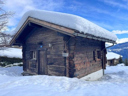 Chermignon Ski Chalet | Chalet Le Petit Nid - Crans Montana