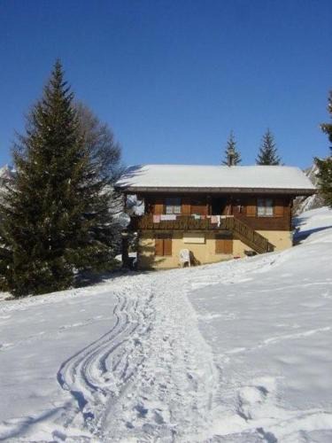 Rosswald Apartment | Chalet Leiggener