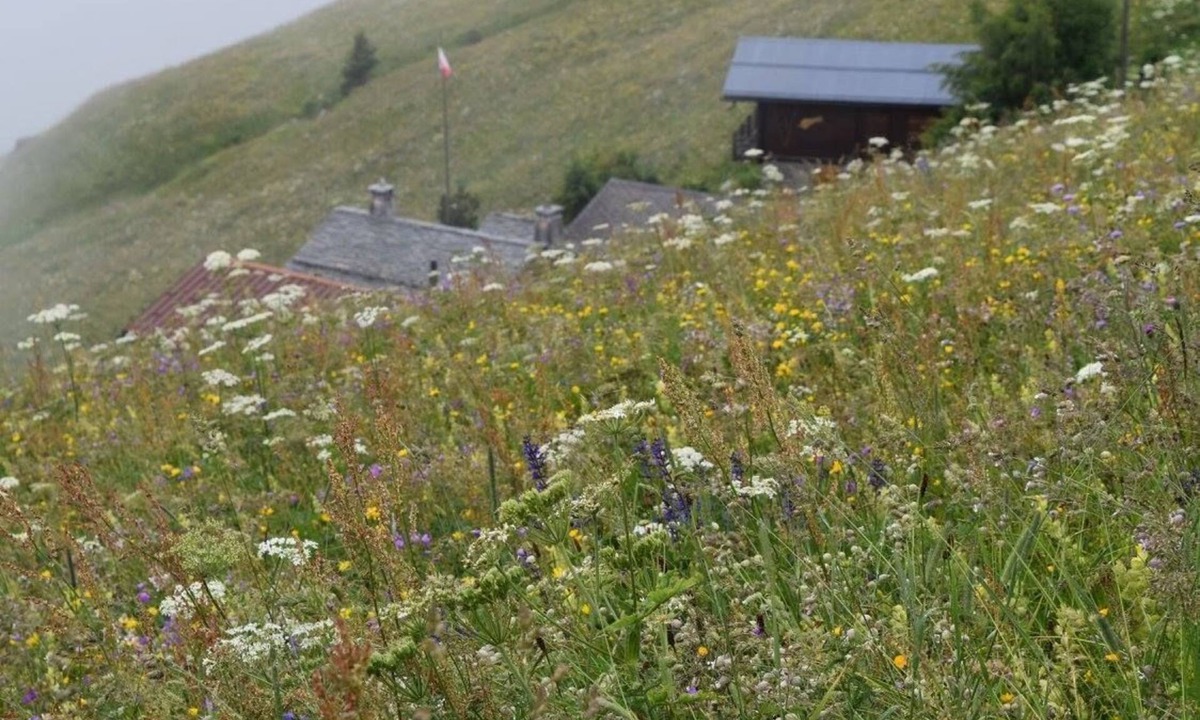 Verbier Apartment | Chalet Majestic - Verbier, 3 bedroom apartment near the town centre super for family or small group