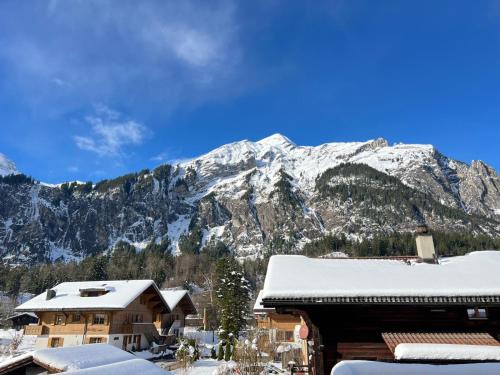 Kandersteg Apartment | Chalet Mountain Lodge