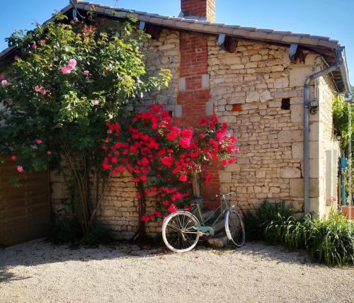 Echire House | Chalet Nature & chiens de traîneaux