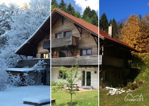 Saint-Cergue Apartment | Chalet OTT - apartment in the mountains with sauna