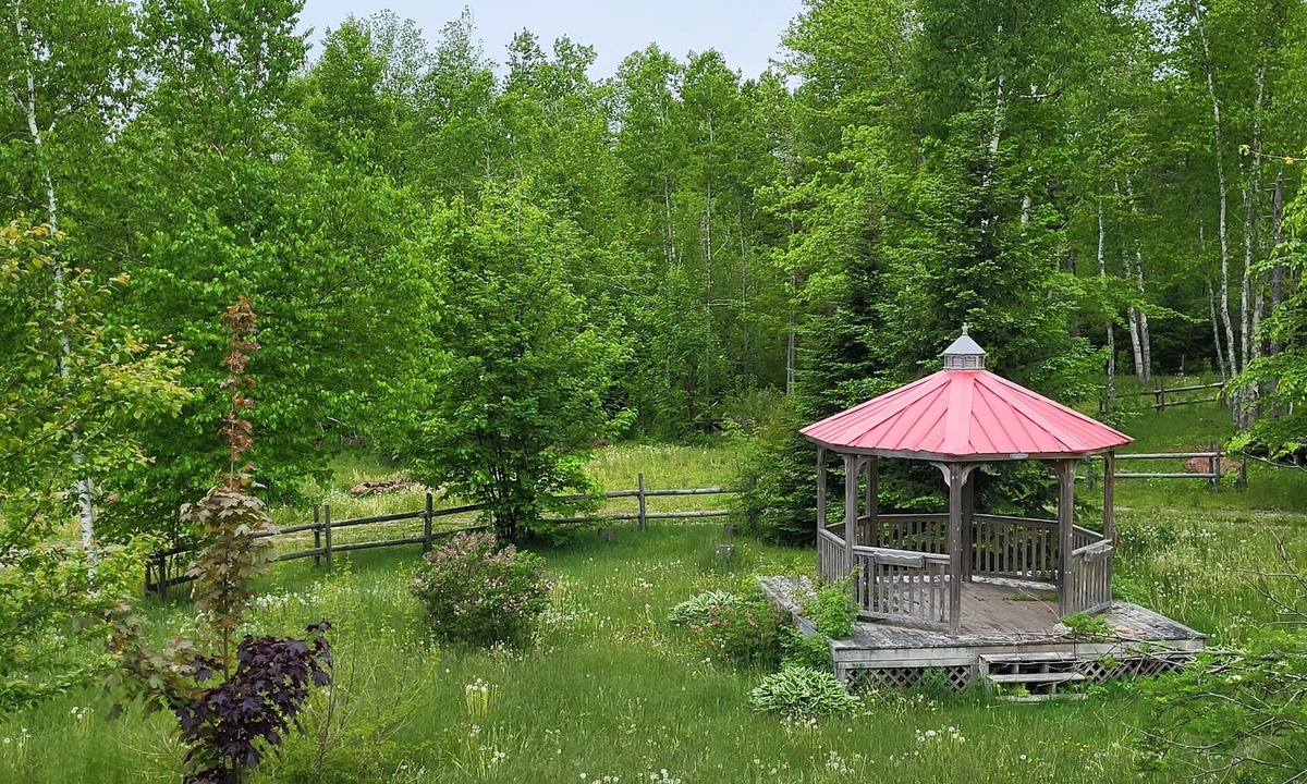Cardigan Ski Chalet | Chalet Spa Hideaway! Private forest getaway with nordic spa.
