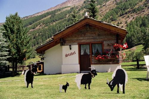 Saas Grund Apartment | Chalet Stadel