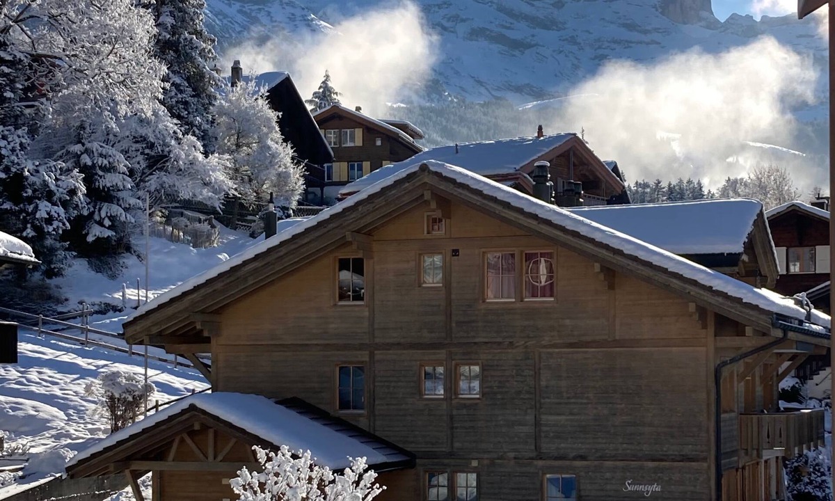 Wengen Apartment | Chalet Sunnsyta, sunny apartment