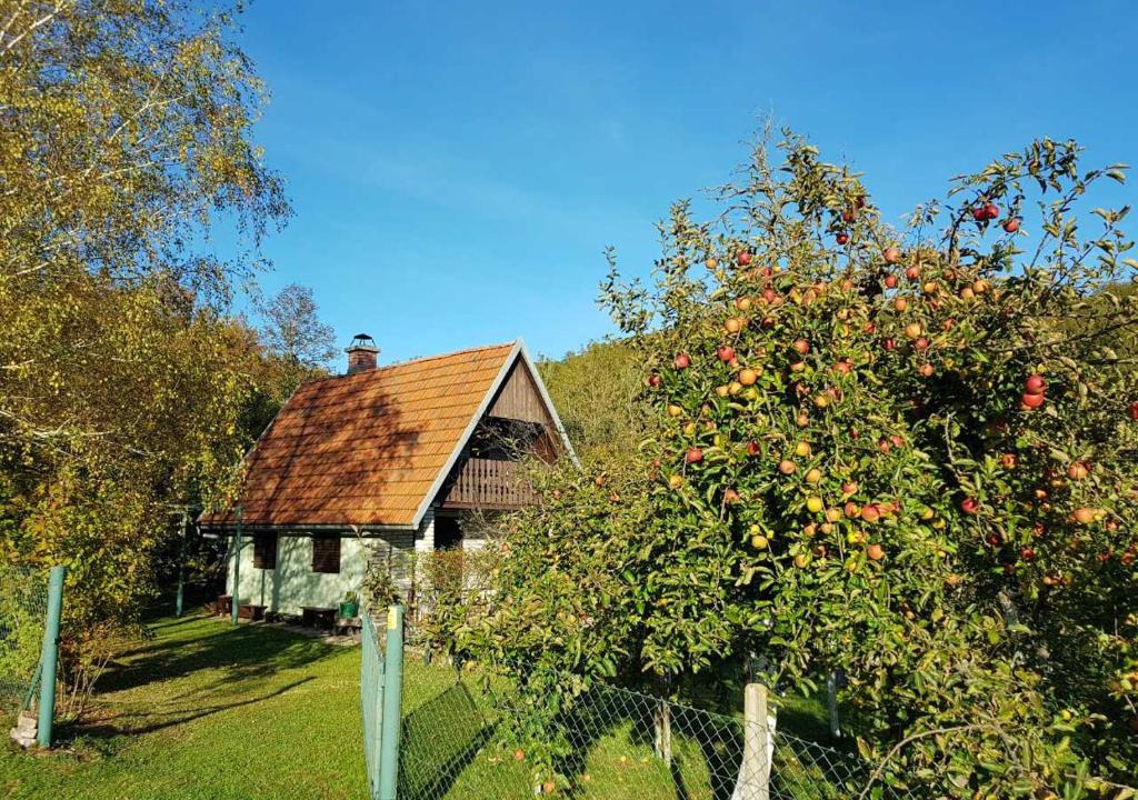 Gospic Ski Chalet | Chalet Tomljenović
