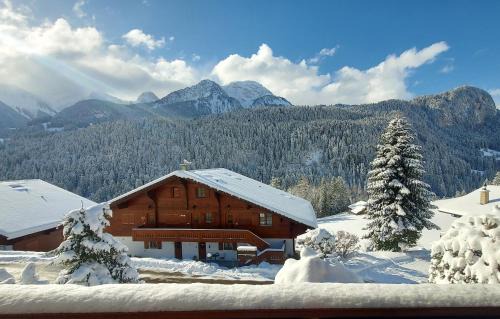 Chateau-d'Oex Apartment | Chalet Valentina