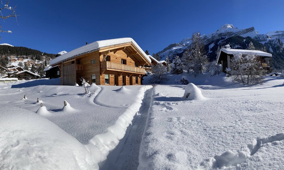 Ormont-Dessus Ski Chalet | Chalet Vicky and Nino nice new apartment