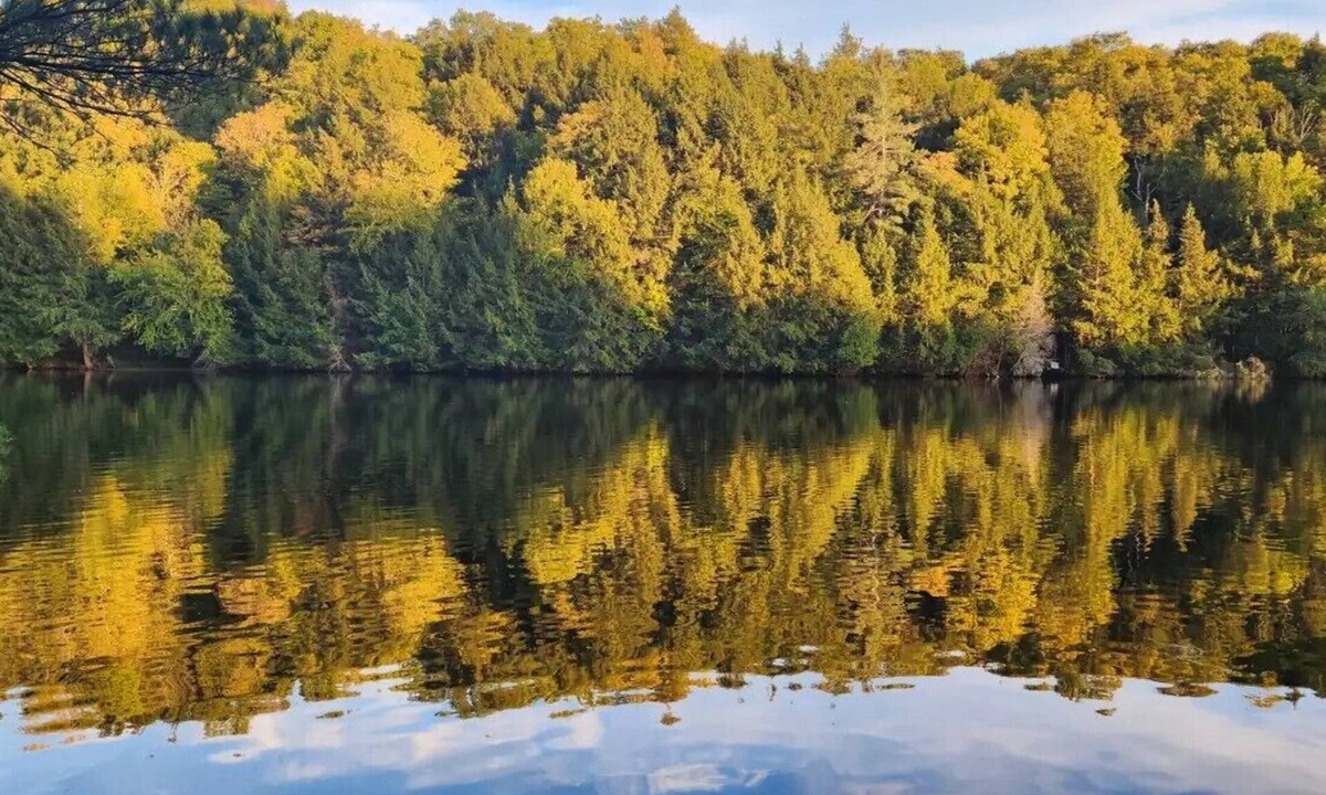 Greater Madawaska Cottage | Chalet: Waterfront Cottage for Rent - Madawaska River, Calabogie