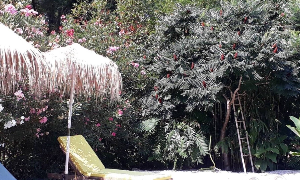 Roquemaure Ski Chalet | Chalet with pool between Orange Avignon Chateauneuf du pape.