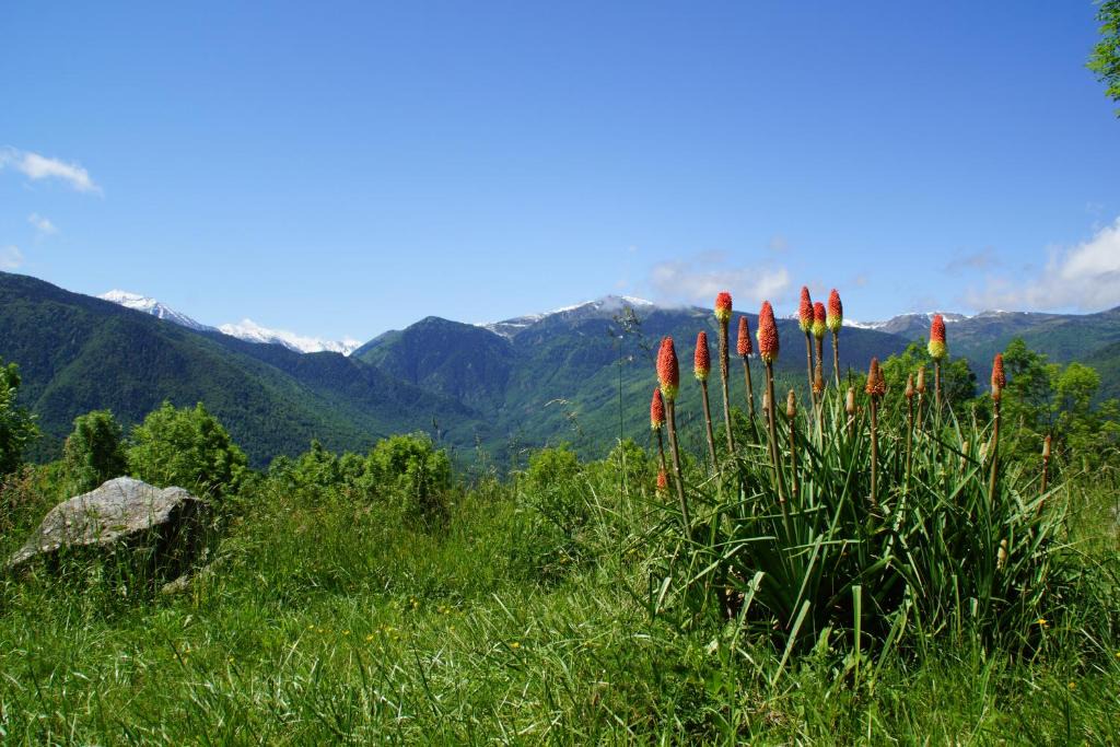 Sorgeat House | Chalets "les gentianes"