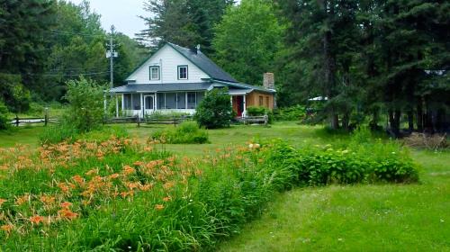 Saint-Alexis-des-Monts Ski Chalet | Chalets NABU La Sacacomie - Rivière - Billard