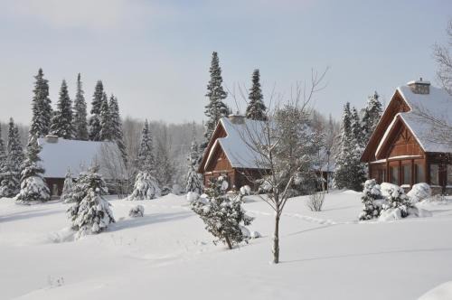 Saint-Faustin-Lac-Carre Ski Chalet | Chalets Royal Laurentien