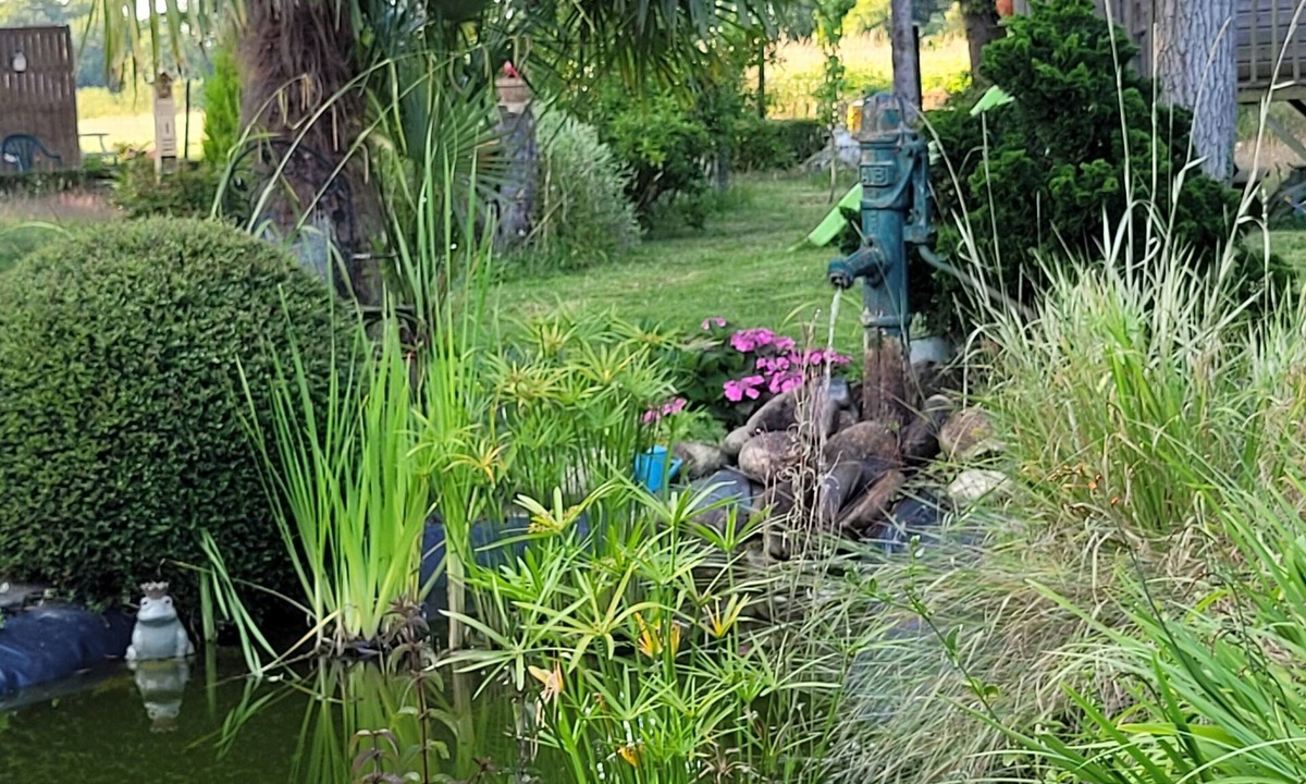 La Chapelle-aux-Filtzmeens House | Chambre D'hotes Avec Petit Déjeuner