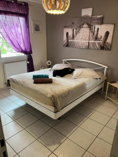 Boisset-Saint-Priest Bed & Breakfast | Chambre calme dans villa