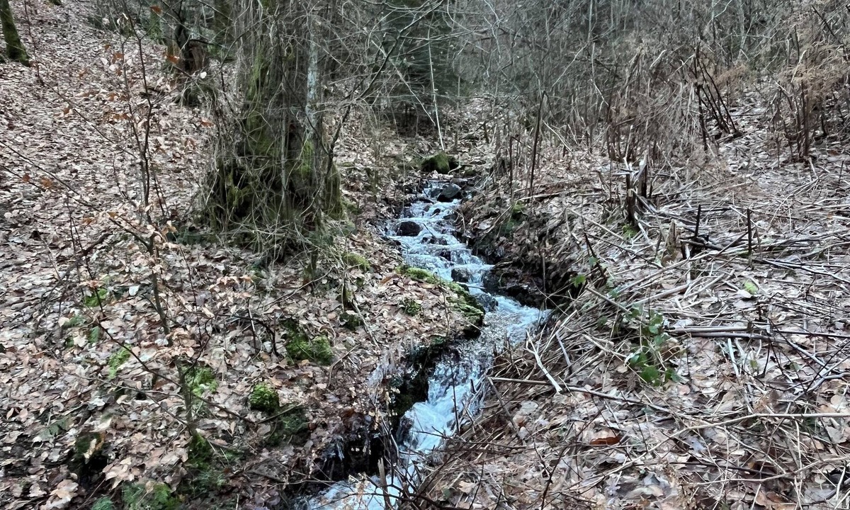 Autun Apartment | Chambre Chez Lhabitant