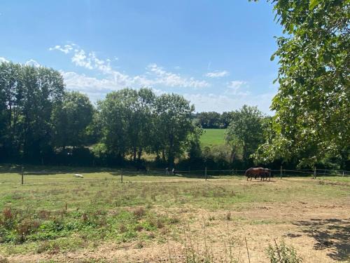 La Foret-sur-Sevre Bed & Breakfast | chambre d'hôtes les roseaux
