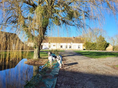 Mandres Bed & Breakfast | Chambre d'hôtes au Haras d'Agathe et ses princes