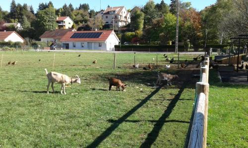 Crotenay Bed & Breakfast | Chambre d'hotes des Poisets
