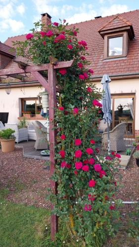 Mesnil-Val Bed & Breakfast | Chambre D'hotes Le Clos Fleuri