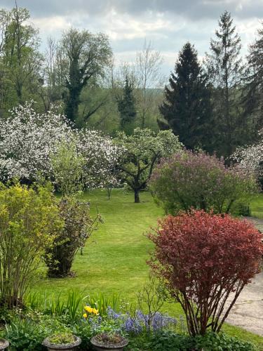 Auxi-le-Chateau House | Chambre dans jolie nature