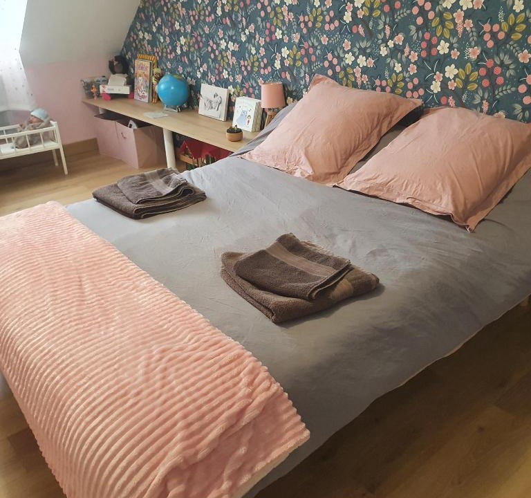 Roeze-sur-Sarthe House | Chambre dans maison proche 24h du mans