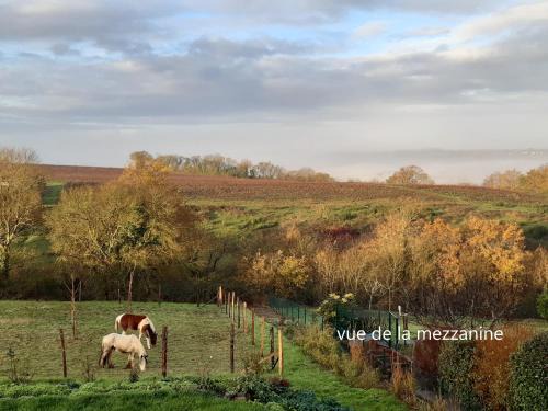La Chapelle-Basse-Mer Bed & Breakfast | Chambre de la Divatte