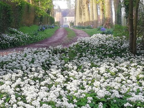 Questrecques Bed & Breakfast | Chambre Fleur de Lys