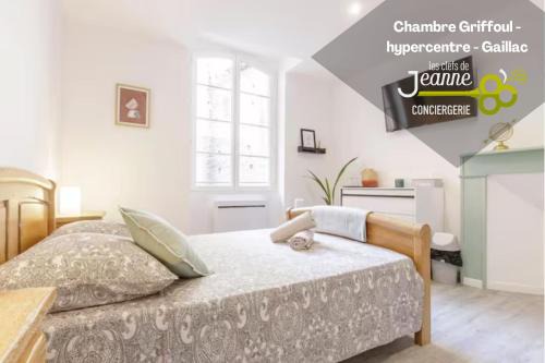 Gaillac House | Chambre Griffoul - Hypercentre - Gaillac