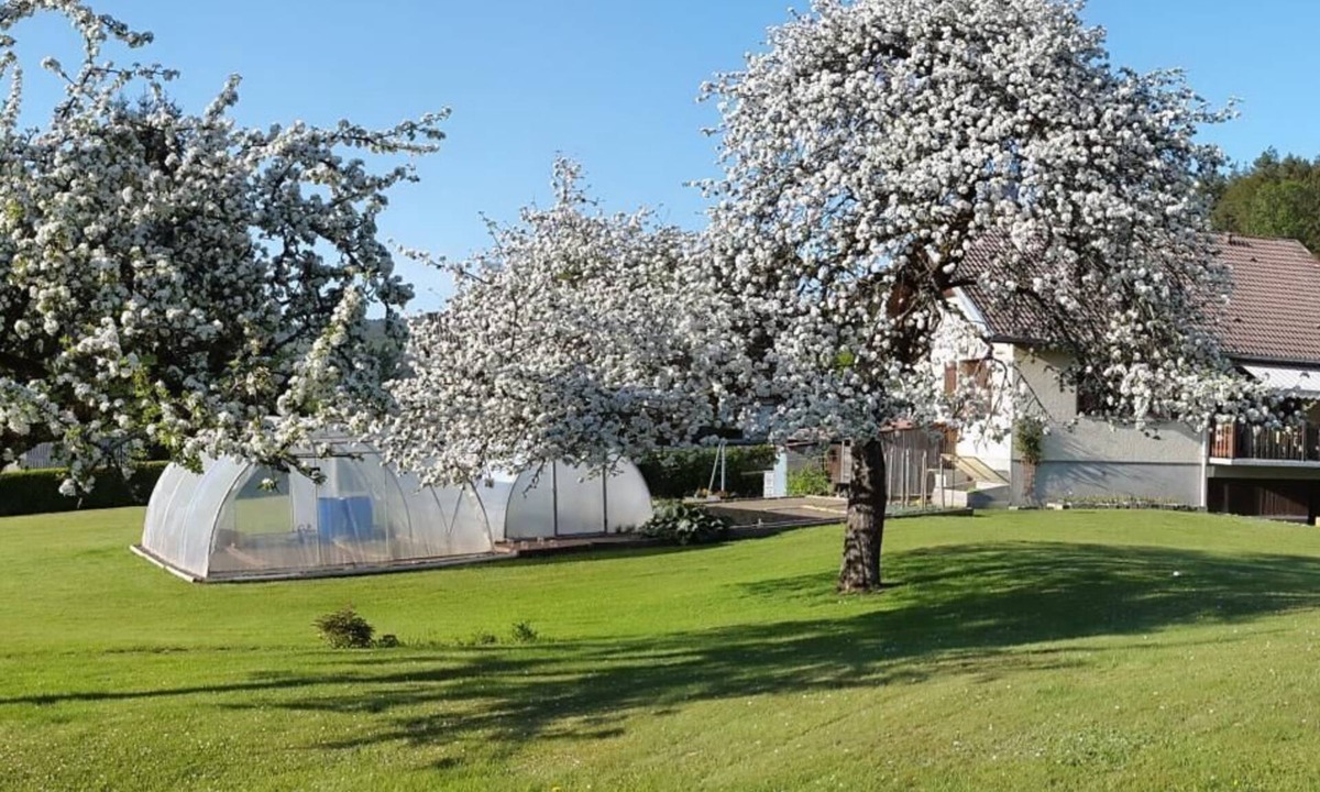 Granges-Aumontzey House | Chambres d'hôtes Les Jumeaux