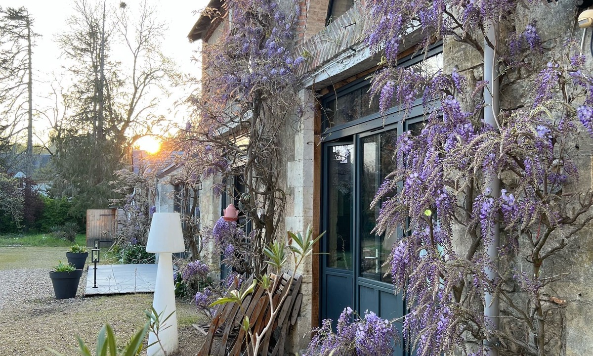 Vernou-sur-Brenne House | Chambres d'hôtes & SPA Les Perce Neige
