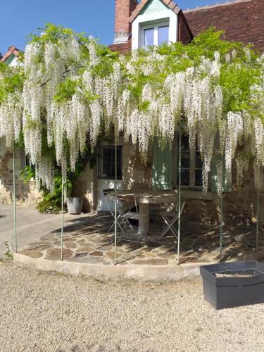 Descartes Bed & Breakfast | Chambres d'hôtes, " au coeur de la nature, et du calme"