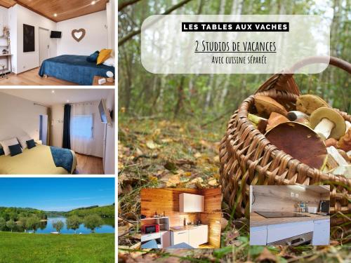 La Salvetat-sur-Agout House | Chambres d'Hôtes avec cuisine au lac de la Raviège - Les Tables Aux Vaches