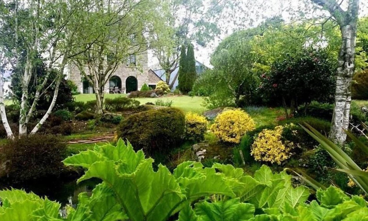 Plonevez-Porzay Bed & Breakfast | Chambres d'Hôtes Belard