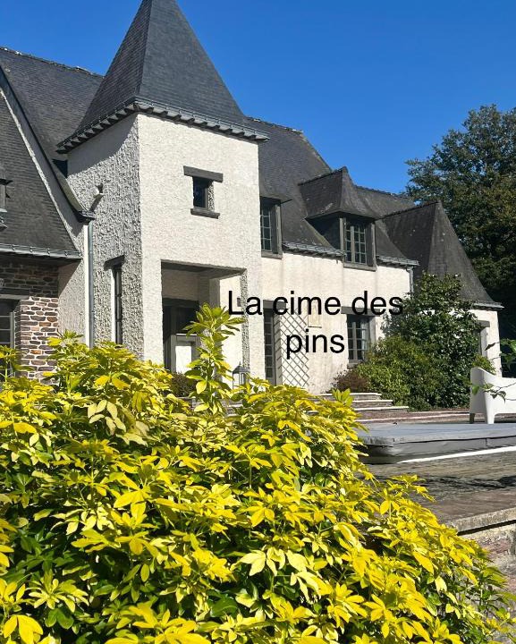 Chanteloup Bed & Breakfast | chambres d'hôtes, La cime des pins