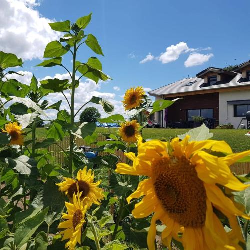 Servant Bed & Breakfast | Chambres d'hôtes La Ganivelle